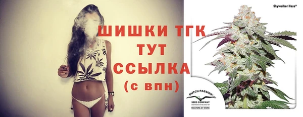 винт Мегион