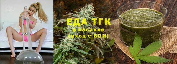 шишки Магас