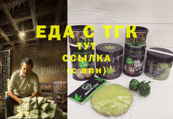 шишки Магас