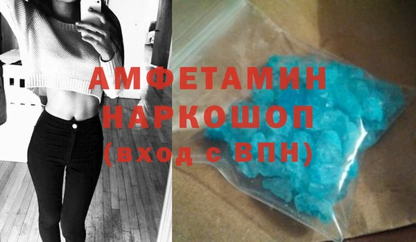 шишки Магас