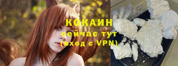шишки Магас