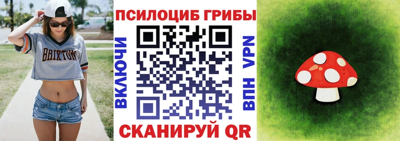 наркота  Неман  Псилоцибиновые грибы Cubensis 